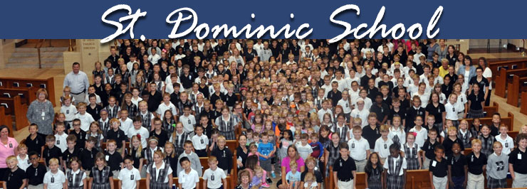St Dominic School Academics Curriculum